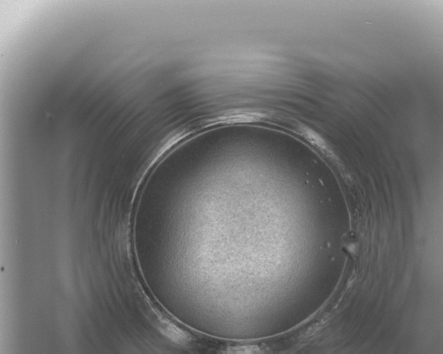 X0000054401186200508051705