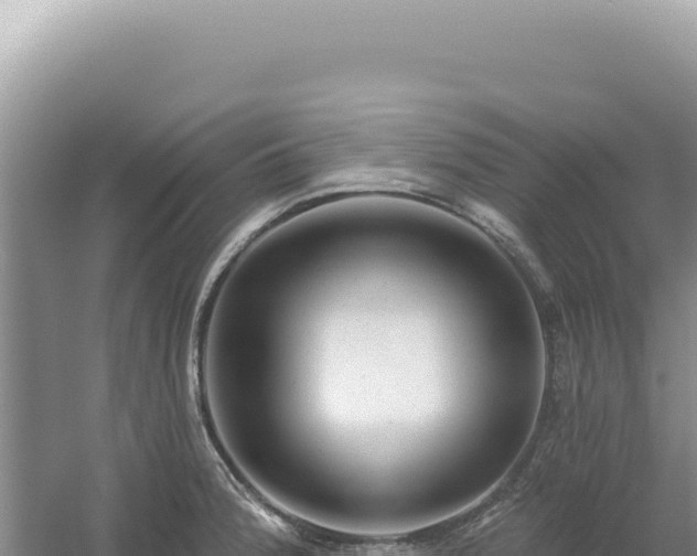 X0000054401188200508051705