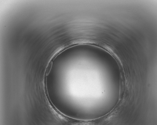 X0000054401189200508051705