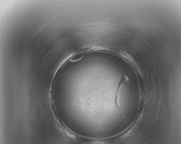 X0000054401190200508051705