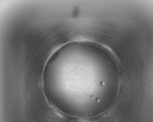 X0000054401191200508051705