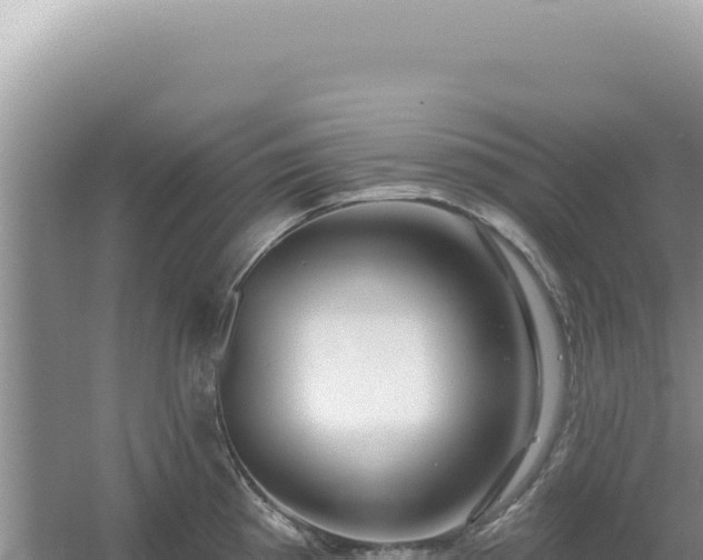 X0000054401193200508051705