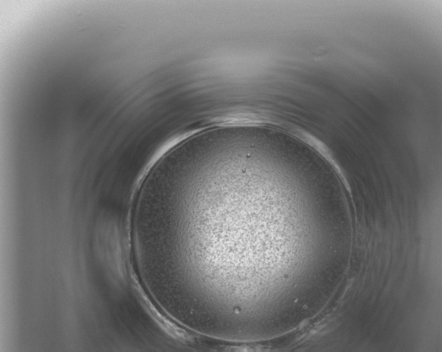 X0000054401195200508051705