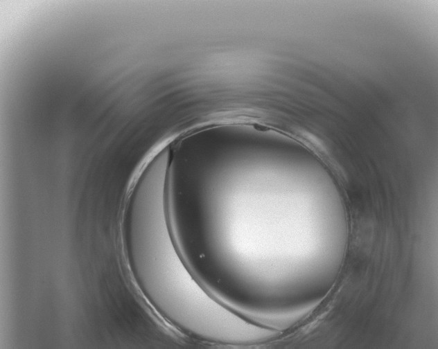 X0000054401196200508051705