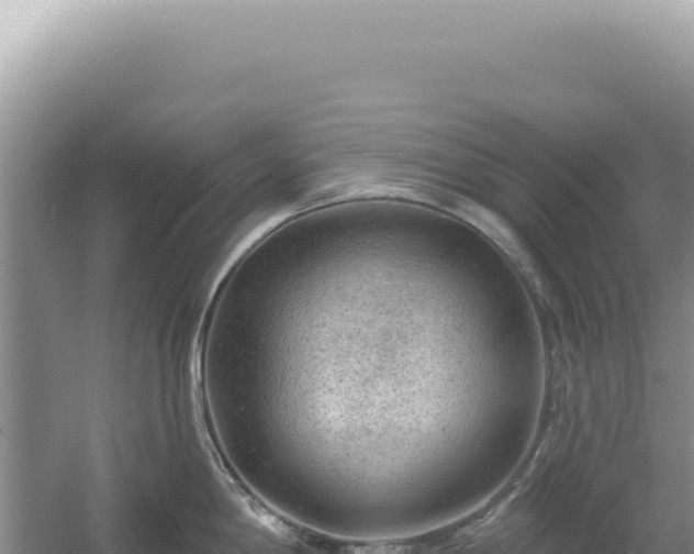 X0000054401198200508051705