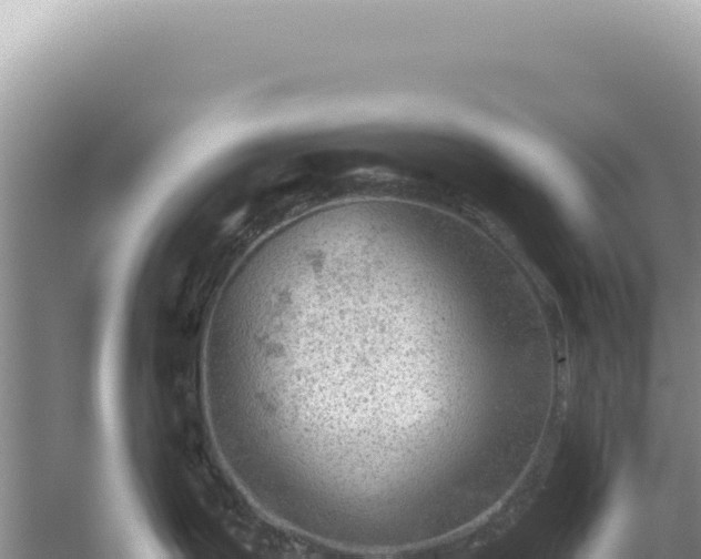 X0000054401199200508051705