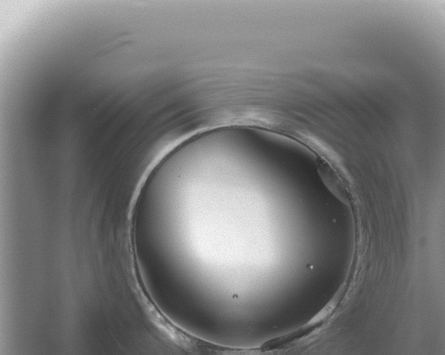 X0000054401200200508051705