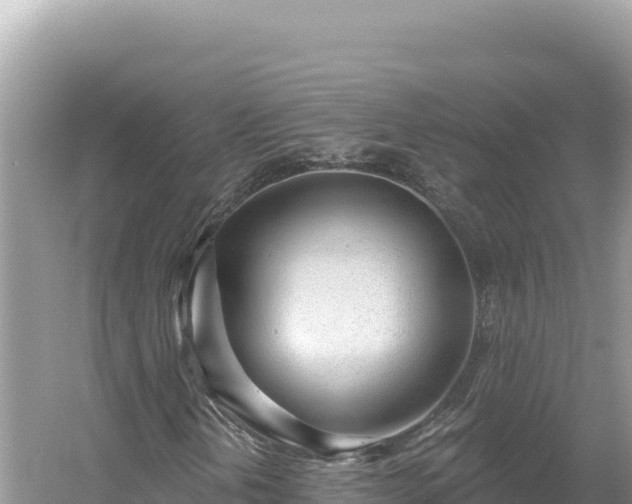 X0000054401202200508051704