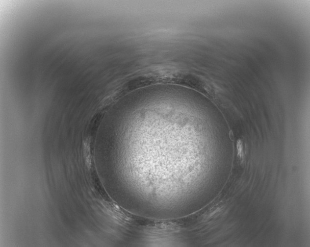 X0000054401203200508051704