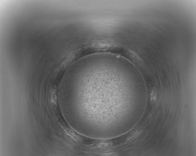 X0000054401204200508051704