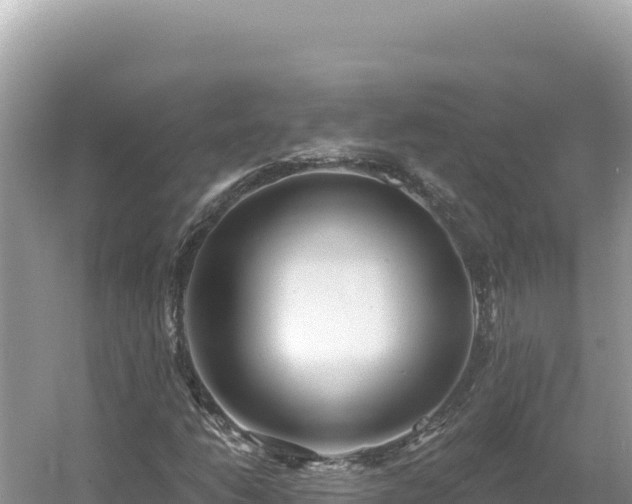 X0000054401206200508051704