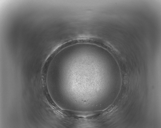 X0000054401208200508051704