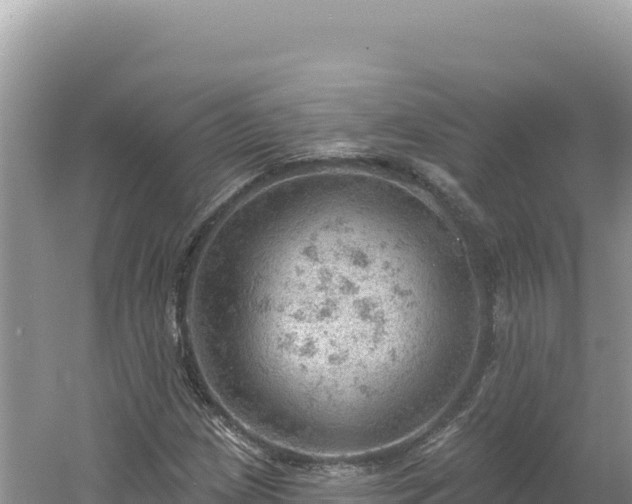 X0000054401209200508051704