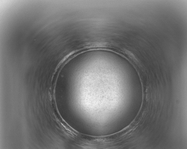 X0000054401212200508051705