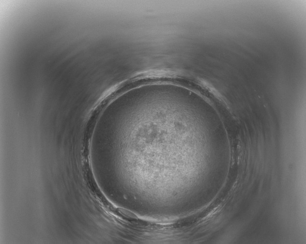 X0000054401213200508051705