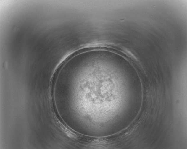 X0000054401216200508051705