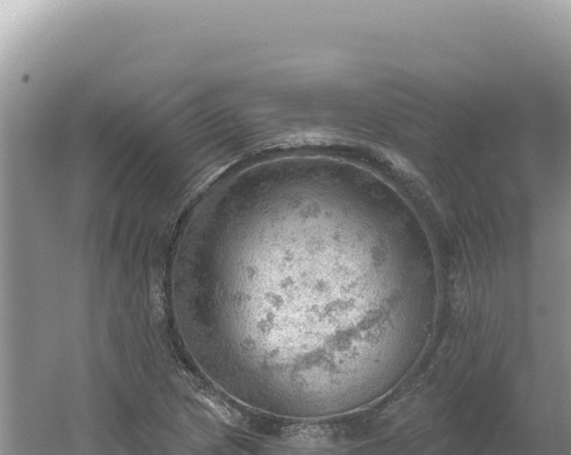 X0000054401217200508051705