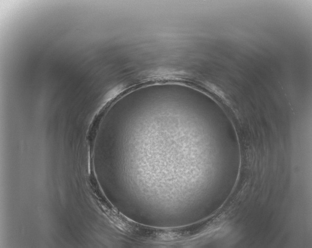 X0000054401219200508051705