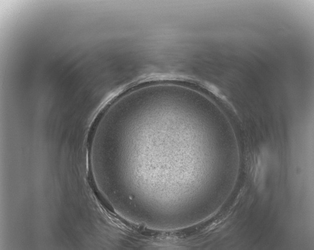 X0000054401221200508051705