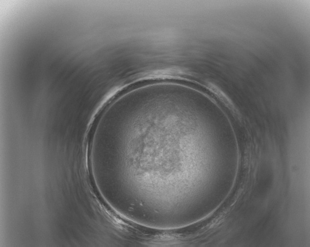 X0000054401224200508051705