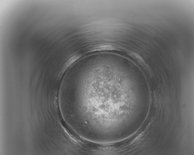 X0000054401225200508051705