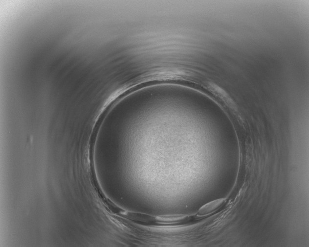 X0000054401226200508051705