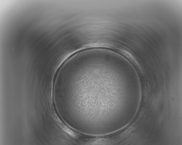 X0000054401228200508051705