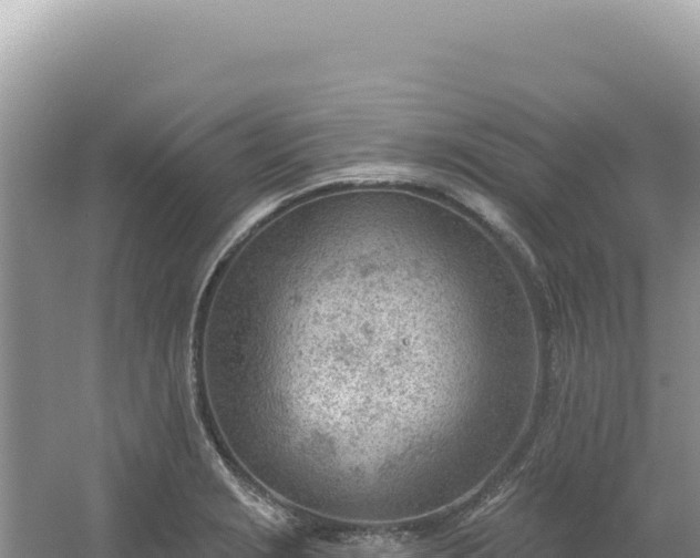 X0000054401229200508051705