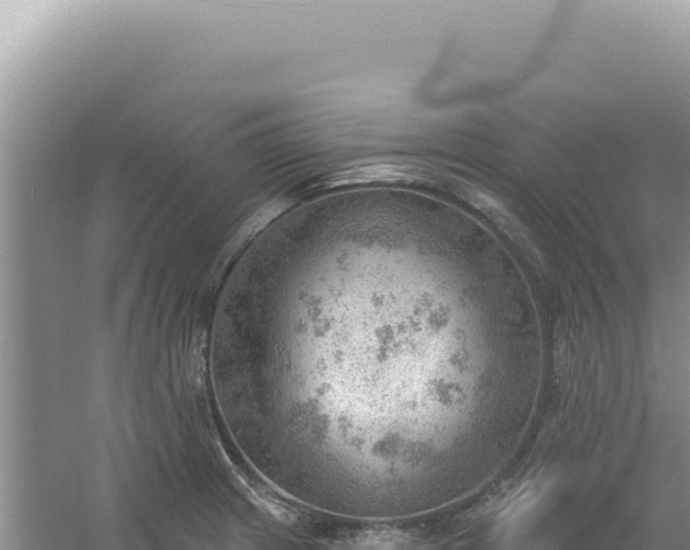 X0000054401233200508051705