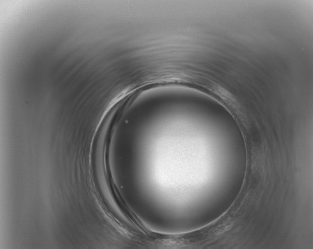 X0000054401234200508051705