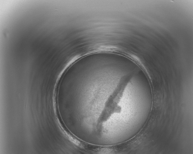 X0000054401235200508051705