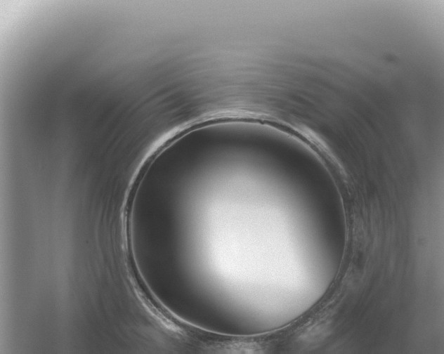 X0000054401238200508051705