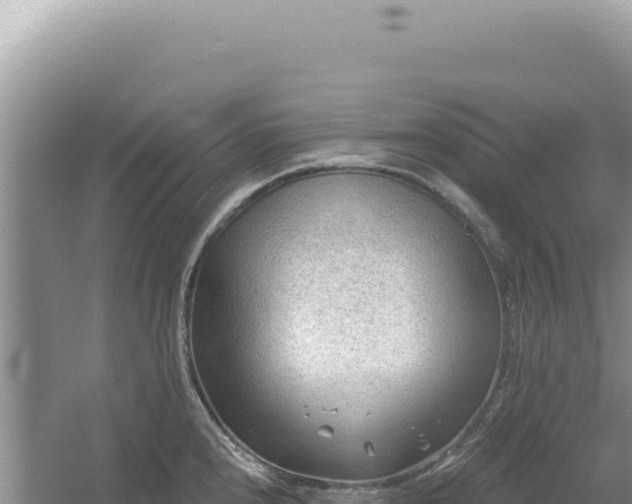 X0000054401240200508051705