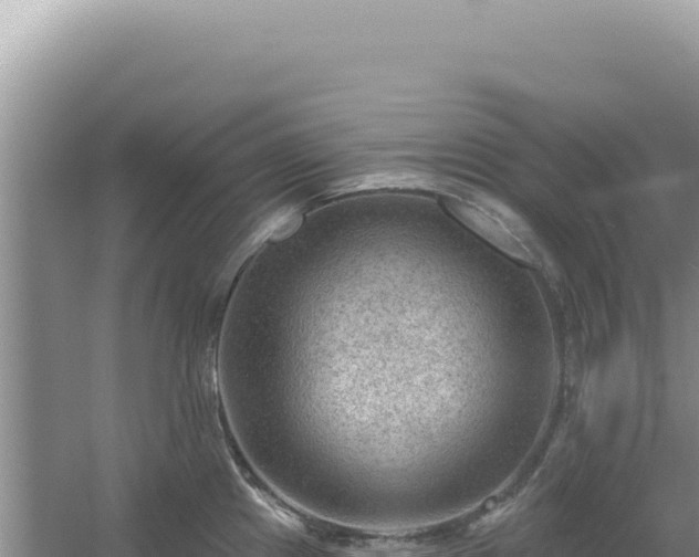 X0000054401241200508051705