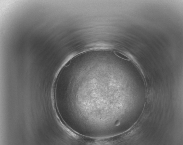 X0000054401243200508051705