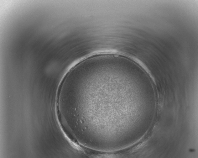 X0000054401245200508051705