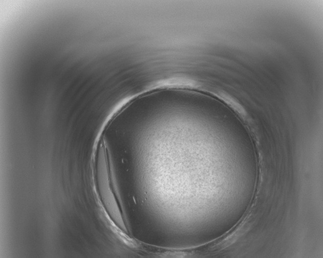 X0000054401248200508051705