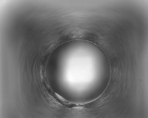 X0000054401250200508051704