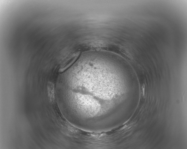 X0000054401251200508051704