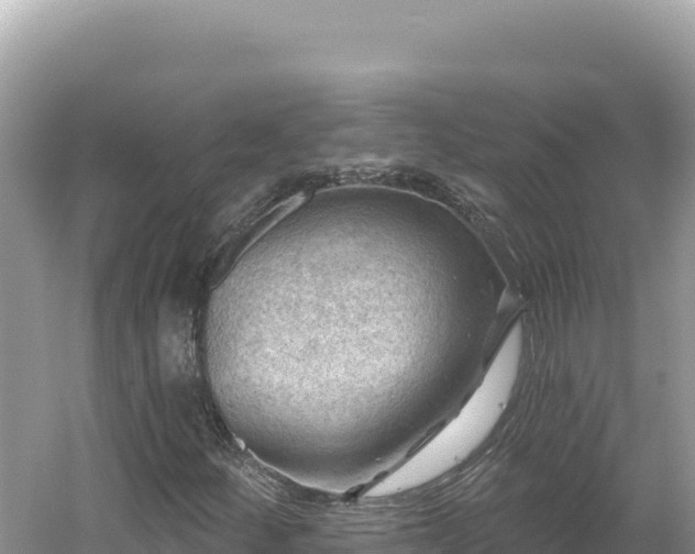 X0000054401252200508051704