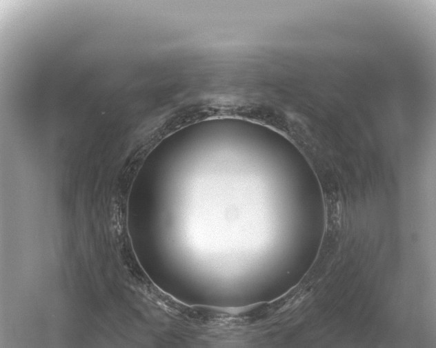 X0000054401253200508051704