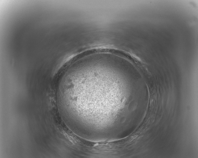 X0000054401255200508051704