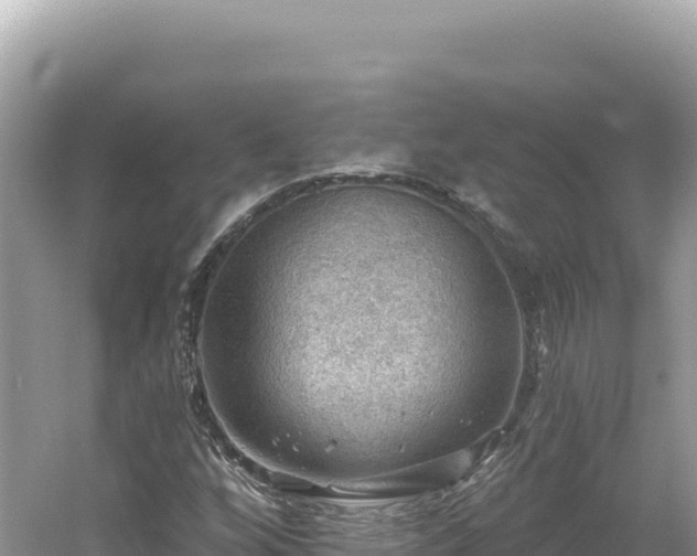 X0000054401256200508051704