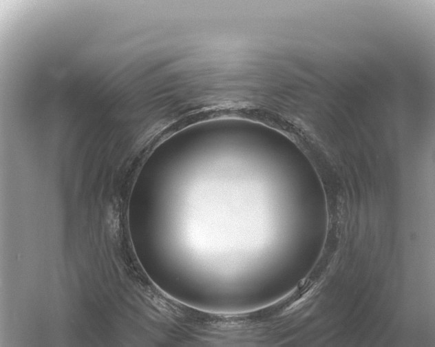 X0000054401257200508051704