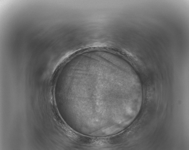 X0000054401262200508051704