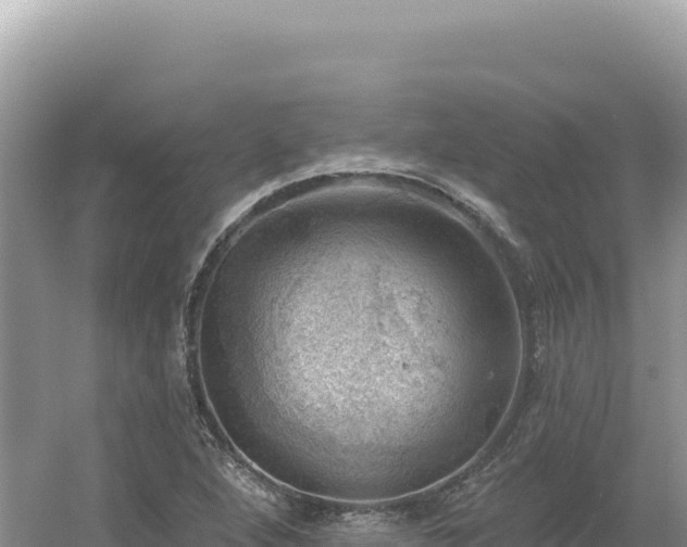 X0000054401264200508051704