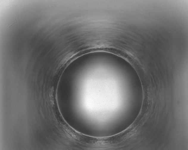 X0000054401265200508051704