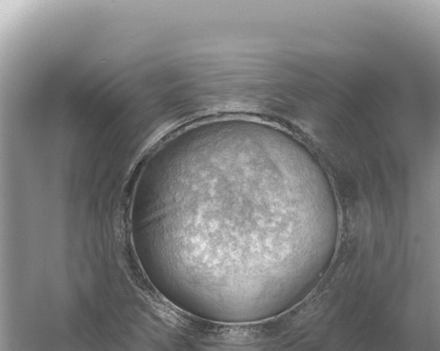 X0000054401266200508051704