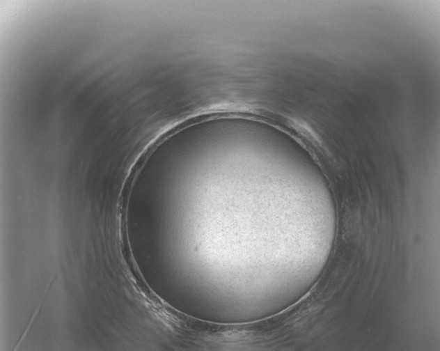 X0000054401268200508051704