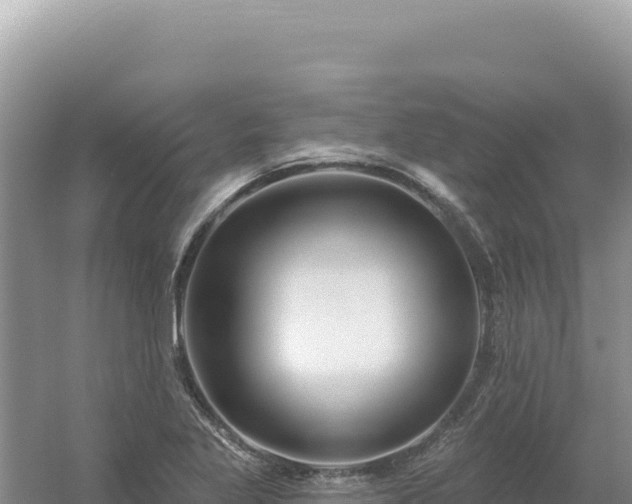 X0000054401269200508051704